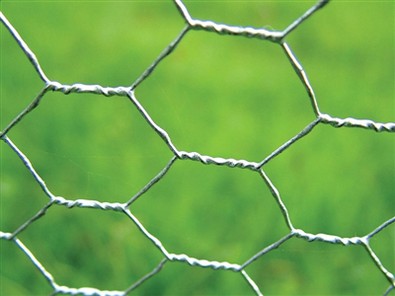 Hot - Dip Galvised Heksagonal Netting przewód przed tkaniem: Zalety, aplikacj...